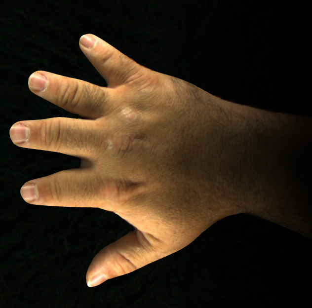 Ultra Rough Hand Reimagine Your Hands with the Augmented Hand Series