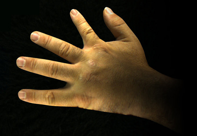 Reimagine Your Hands with the Augmented Hand Series