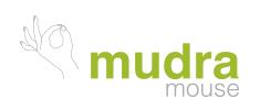 Mudra Mouse