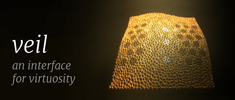 Veil