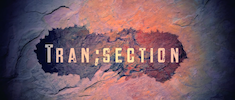 Tran;section