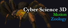 Cyber Science - Motion: Zoology