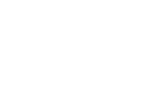 Leap Motion Developer